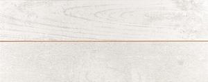 CONCRETE BLANCO LINEAL/10 20x50 cm, bal: 1,4m2, mat, na objednání