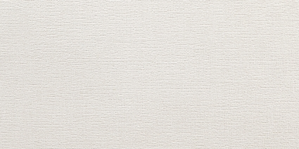TOULOUSE WHITE/OB 25x50x0,74 cm, bal: 2m2, mat