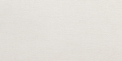 TOULOUSE WHITE/OB 25x50x0,74 cm, bal: 2m2, mat - do vyprodání zásob!