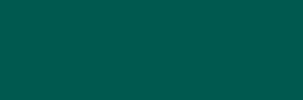 Emerald forest rect. 25x75 cm/OB, bal: 1,5m2, mat, na objednání