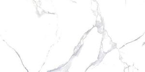 WHITE MARBLE MATT RECT./DL 60x120, 1,44m2/bal, mat