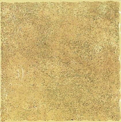 DON RODRIGO OB. 20x20, bal. 1m2