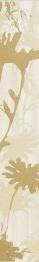 ALVINE 201 sabbia 40x6/List.